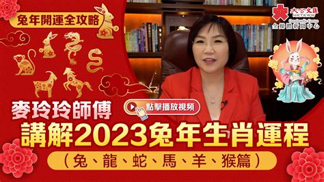 兔年2024運程